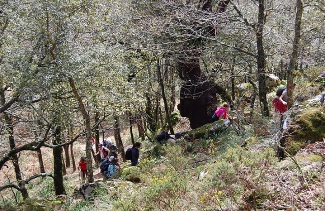Subiendo a la cumbre